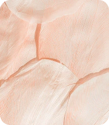 orange bg